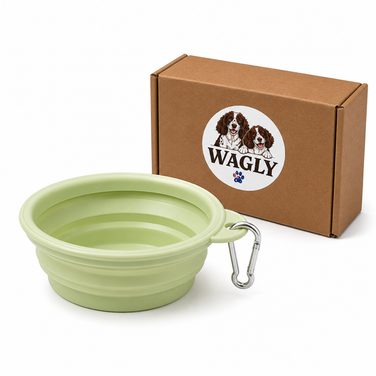 Wagly Collapse & Go Travel Bowl