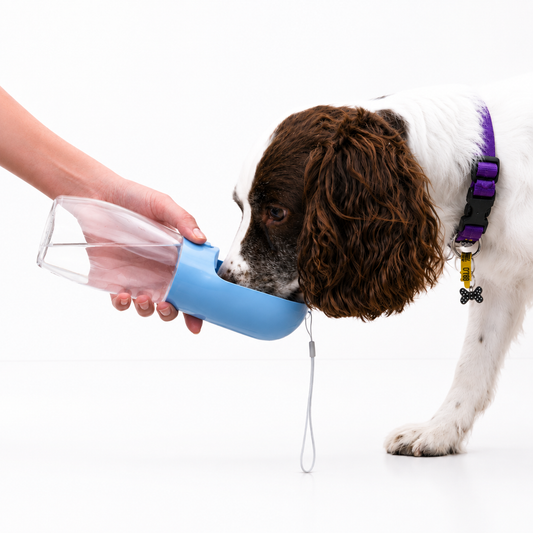 Wagly Portable Pup Bottle