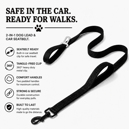 Wagly SafeRide Lead